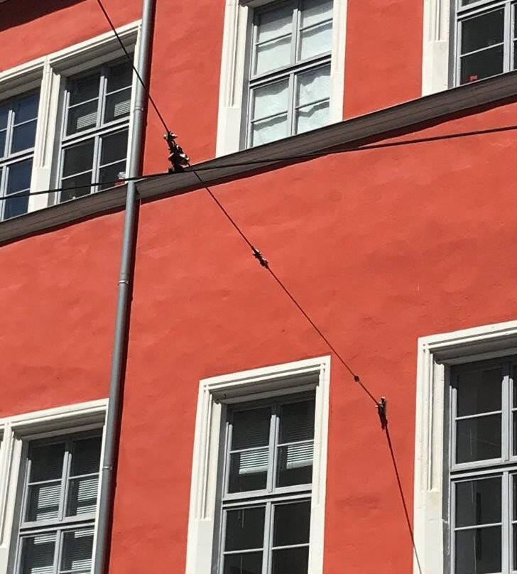 Marktschlösschen-哈雷必去景点