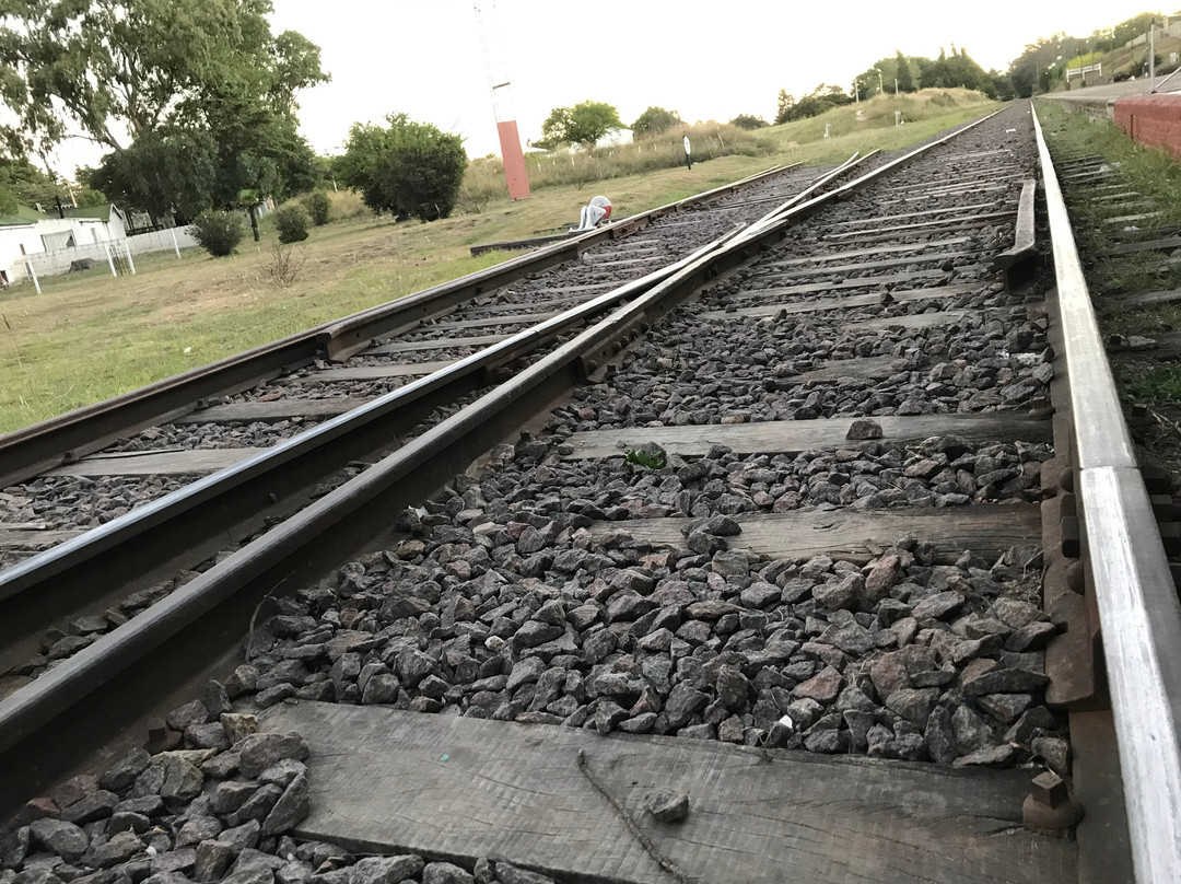 Estacion Ferroviaria Sauce Grande景点图片