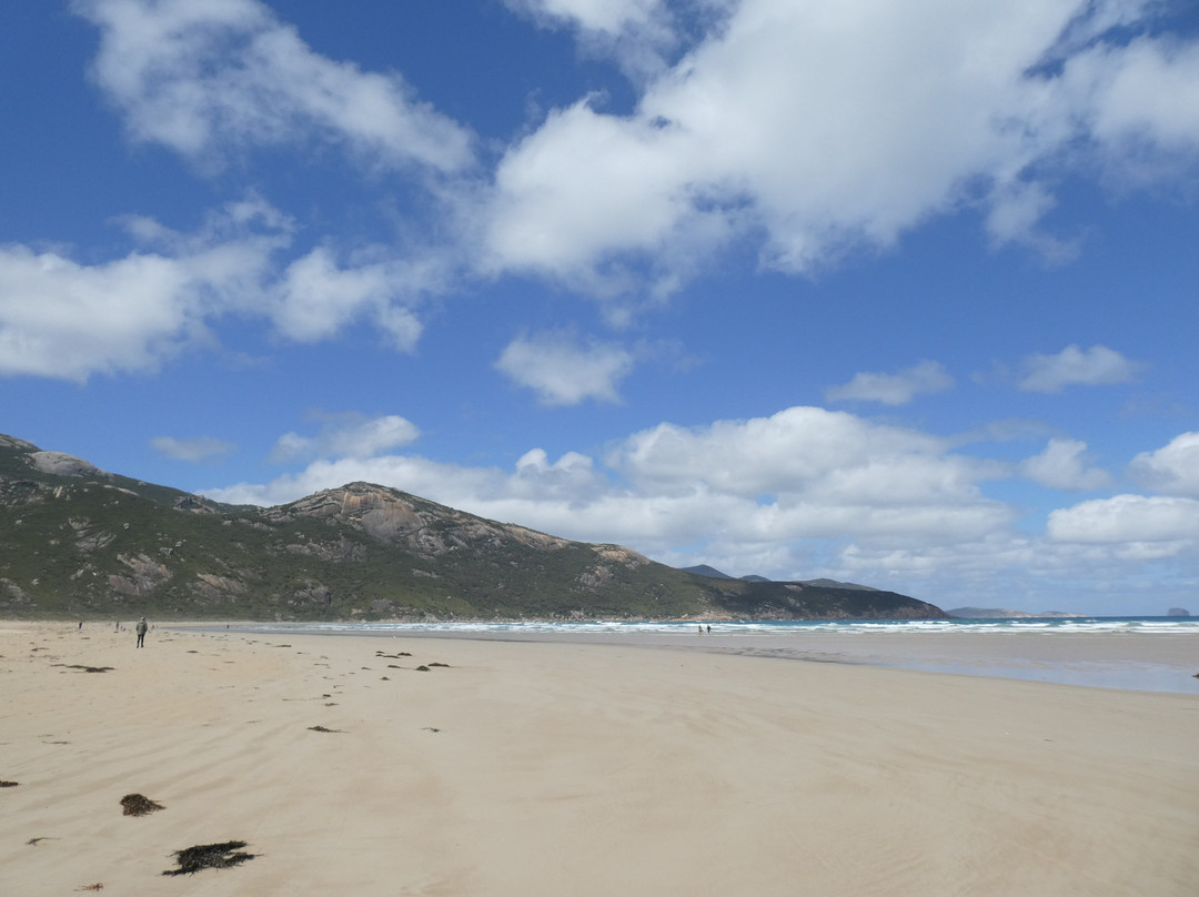 Norman Beach景点图片