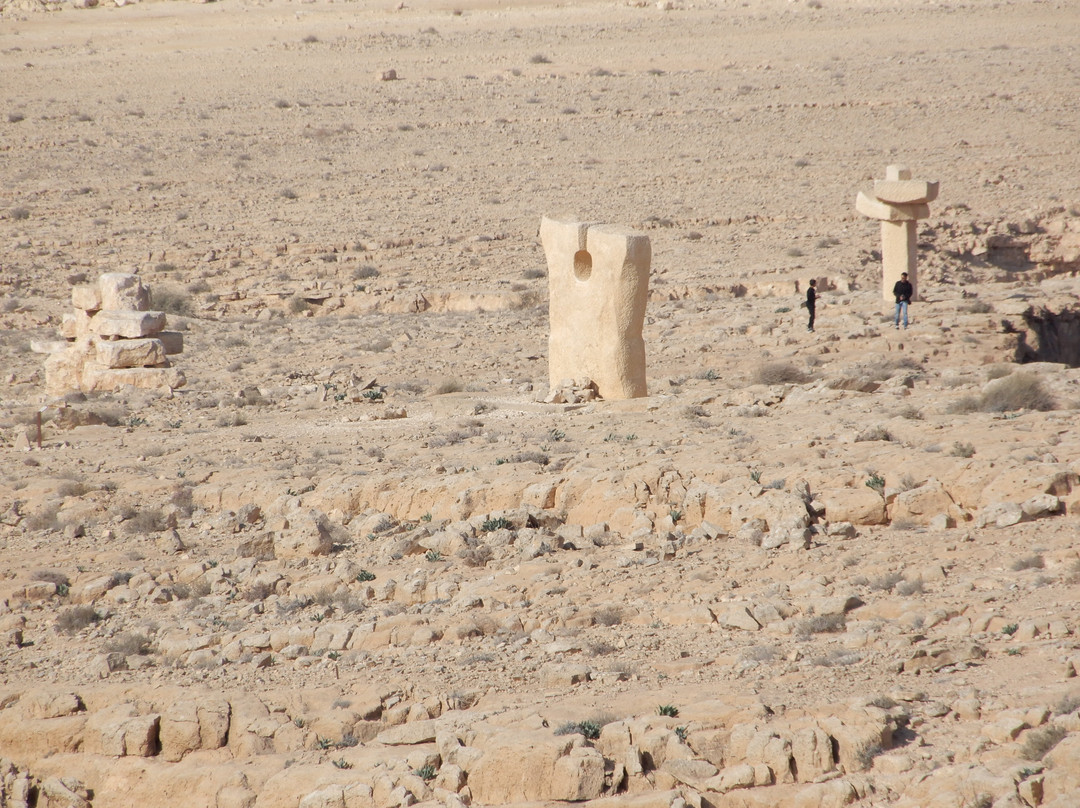 Desert Sculpture Park景点图片