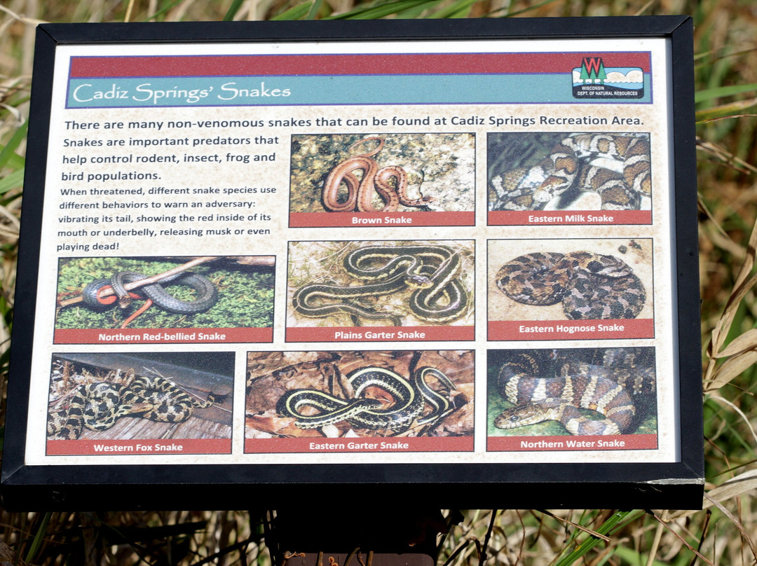 Browntown-cadiz Springs State Recreation Area