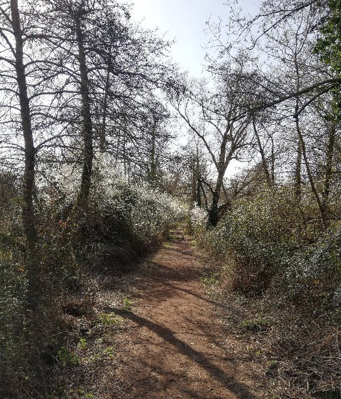 Reserve Naturelle Marais De Bruges景点图片