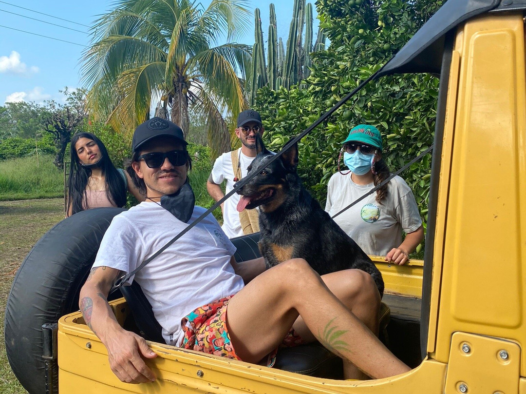 Casa Celeste Honda主图