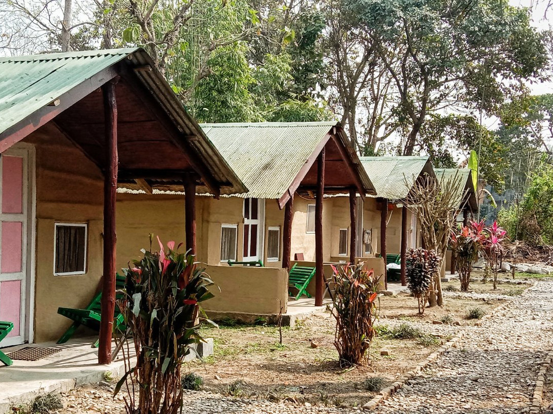 The Chitwan Tiger Guide Service And Mini Library-苏拉哈必去景点