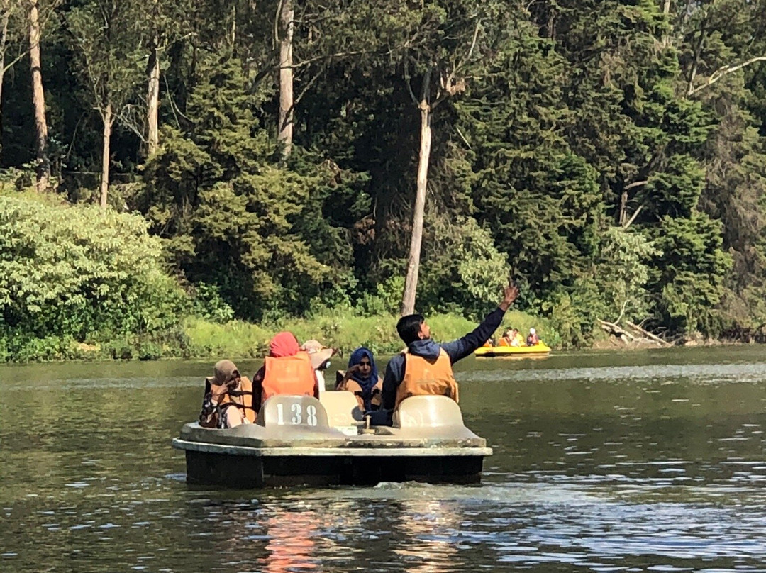 Ooty Lake景点图片