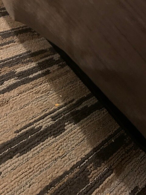 Holiday Inn Express Madison By IHG主图