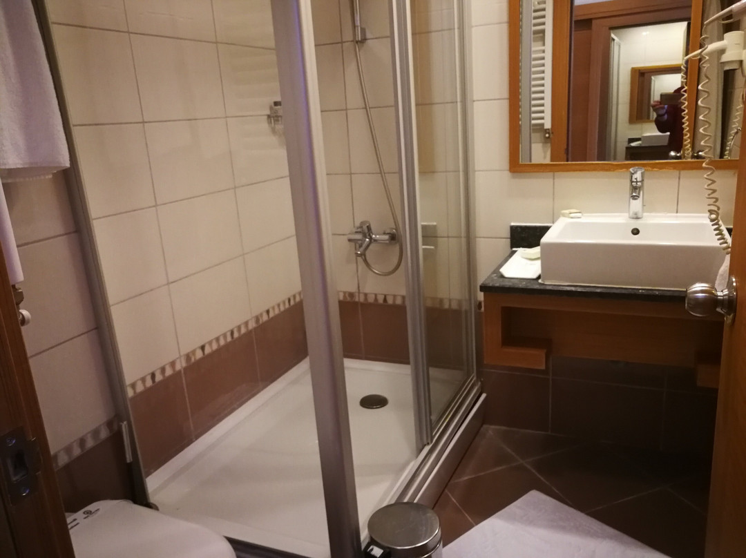 Grand Abant Hotel (Buyuk Abant Hotel)主图