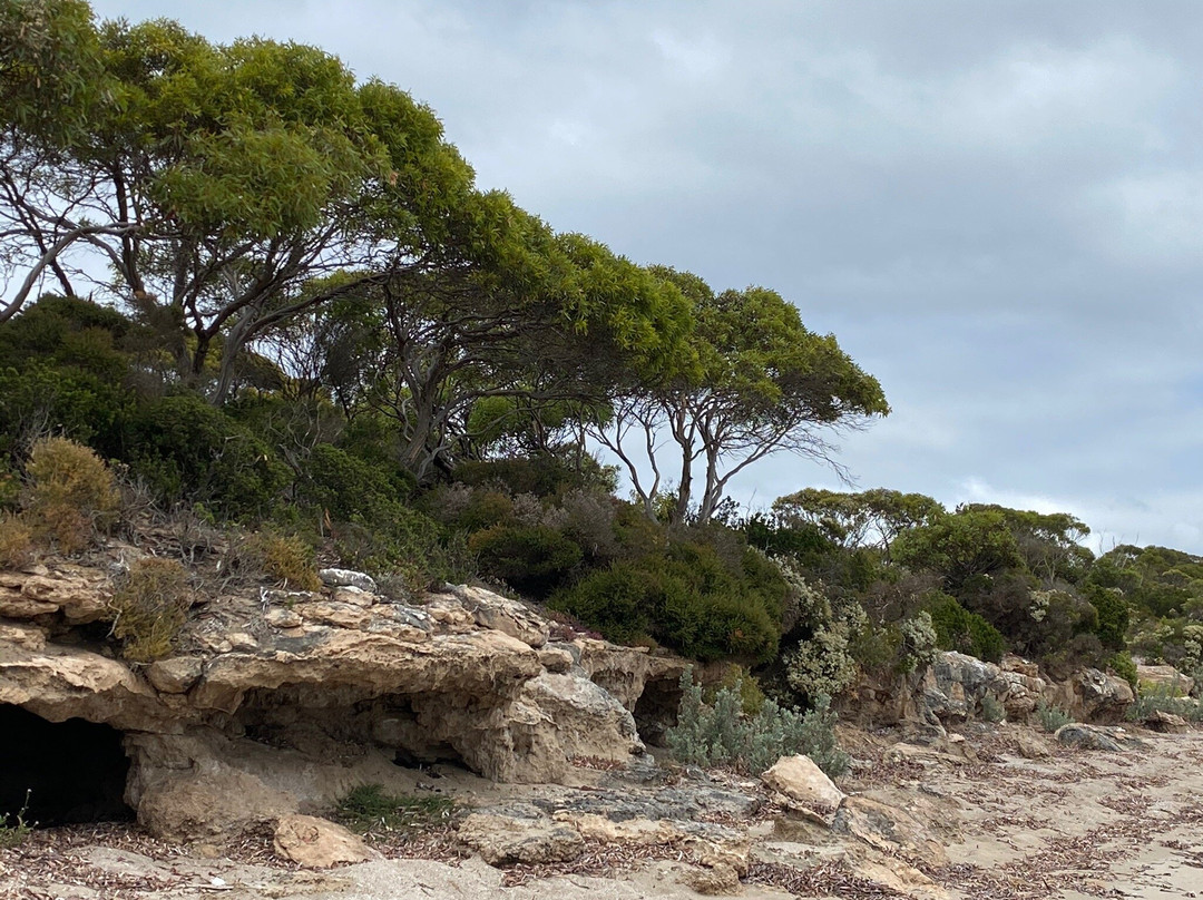 Lincoln National Park-Port Lincoln必去景点