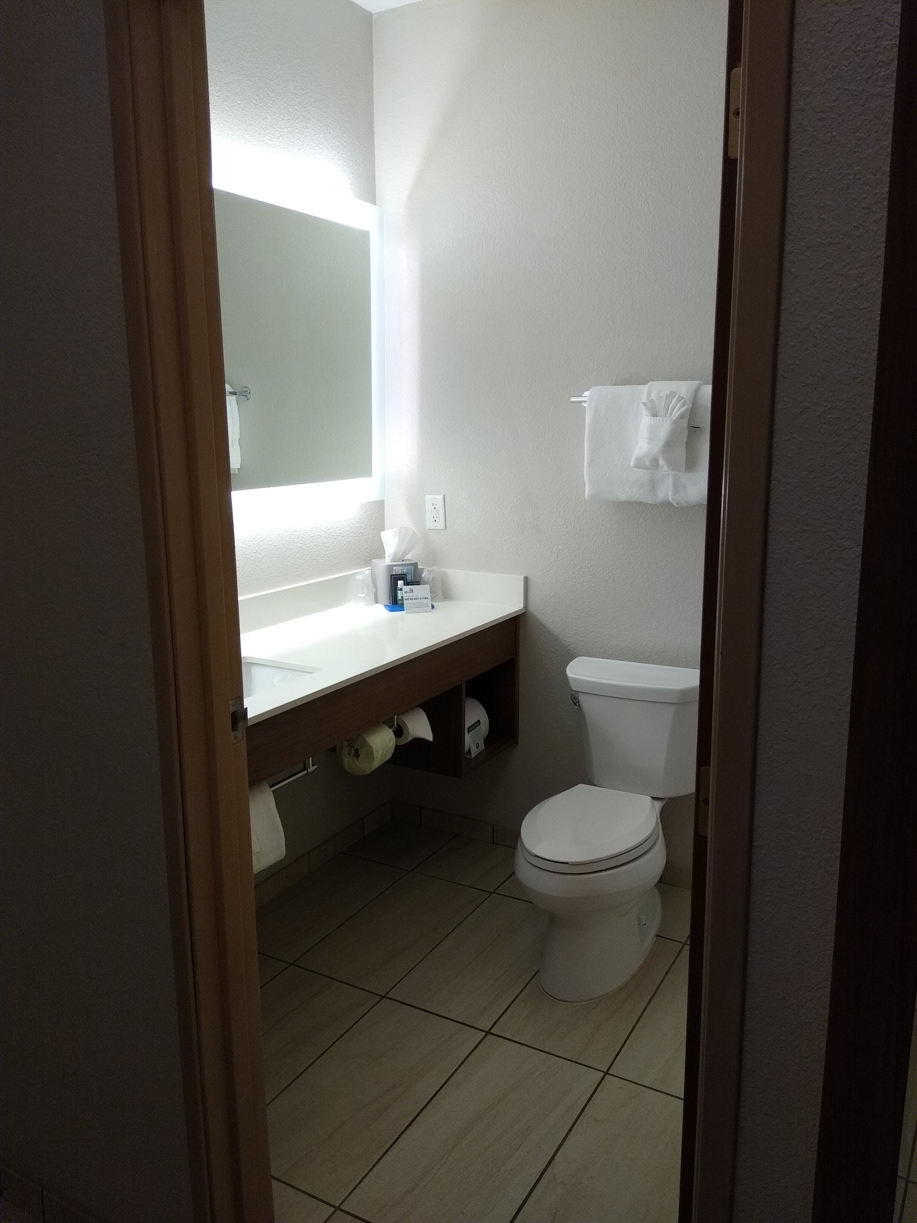 Holiday Inn Express Howe (Sturgis, MI), an IHG hotel-浴室