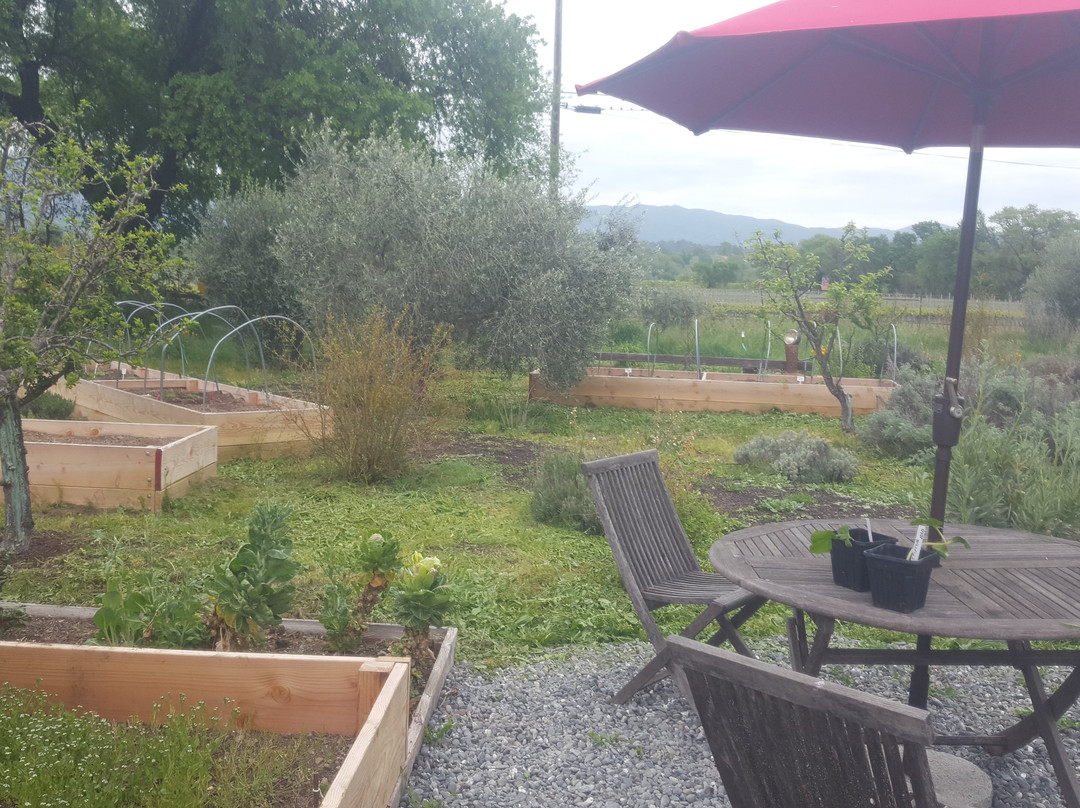 Terra Savia Winery-Hopland必去景点