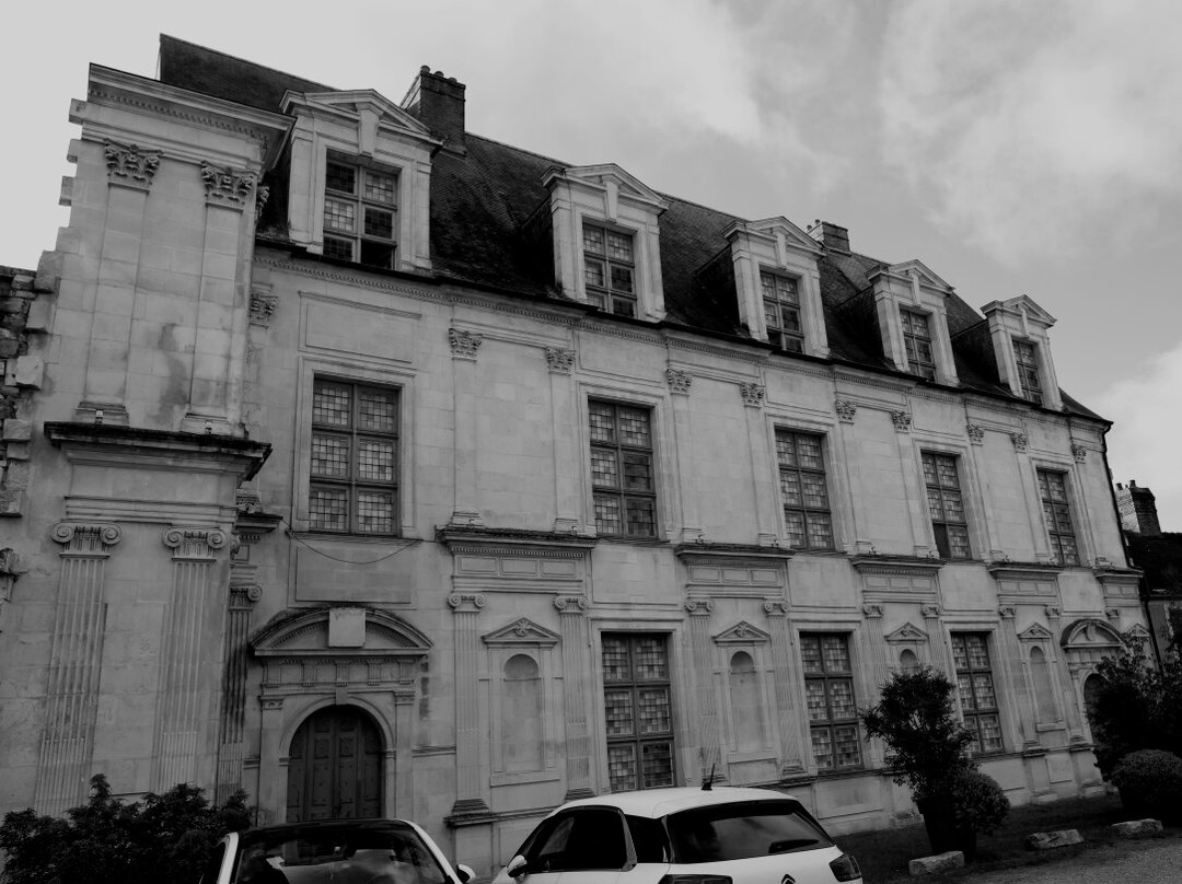 Le Château Des Gondi景点图片
