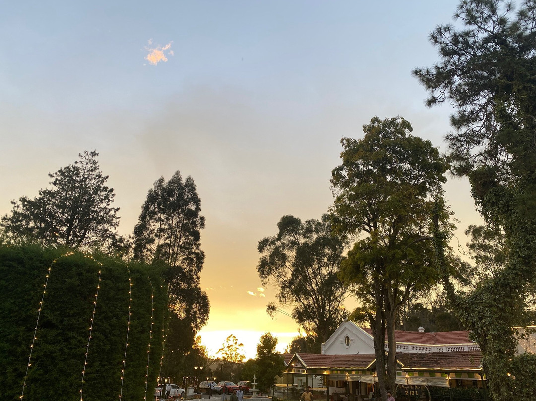 Savoy, Ooty - IHCL SeleQtions主图