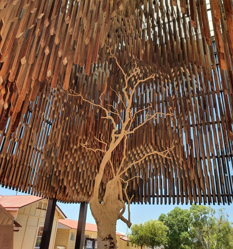 Tree Of Knowledge-Barcaldine必去景点