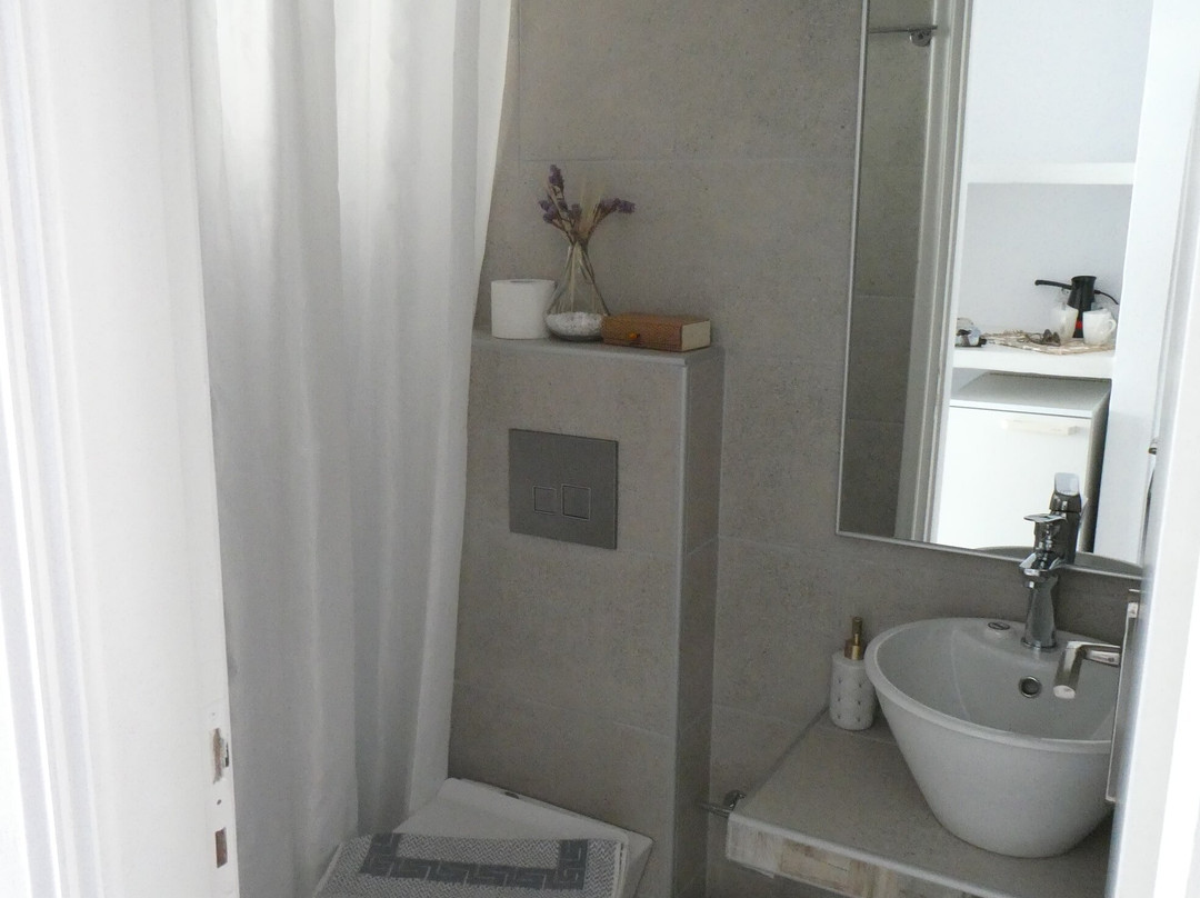 Pelagos Hotel Amorgos主图