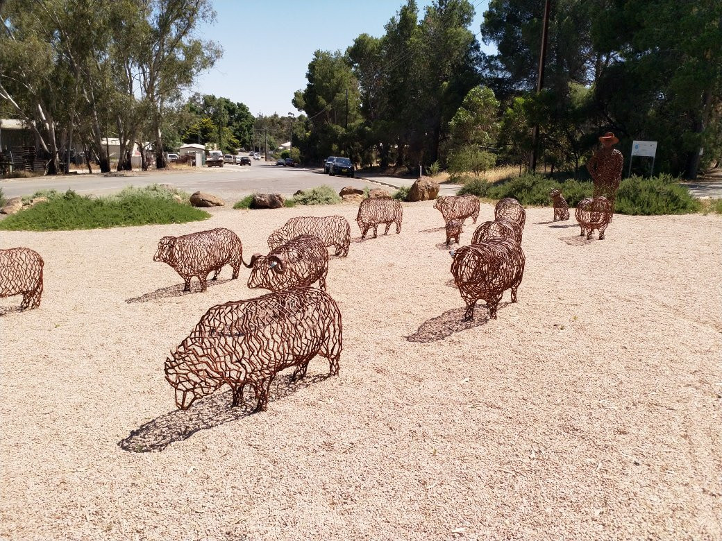 Mob Of Sheep Art Installation-克莱尔必去景点