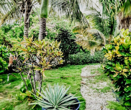 艾伦湾旅馆主图