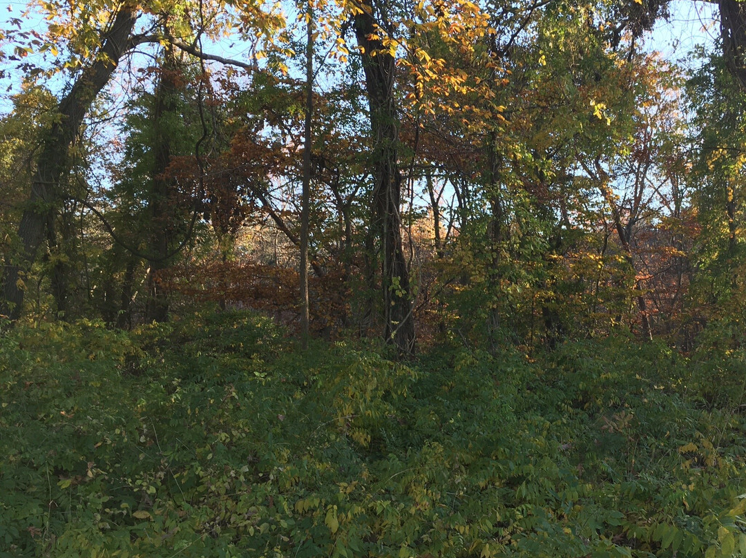 Rancocas State Park景点图片