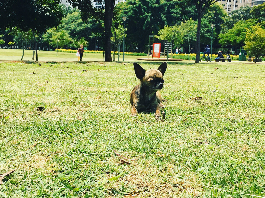 Parque Do Povo-圣保罗必去景点