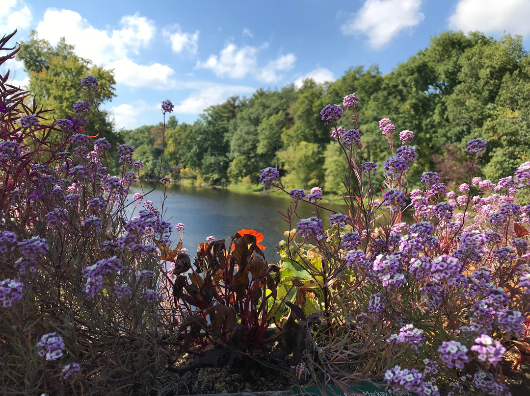 Old Drake Hill Flower Bridge-锡姆斯伯里必去景点