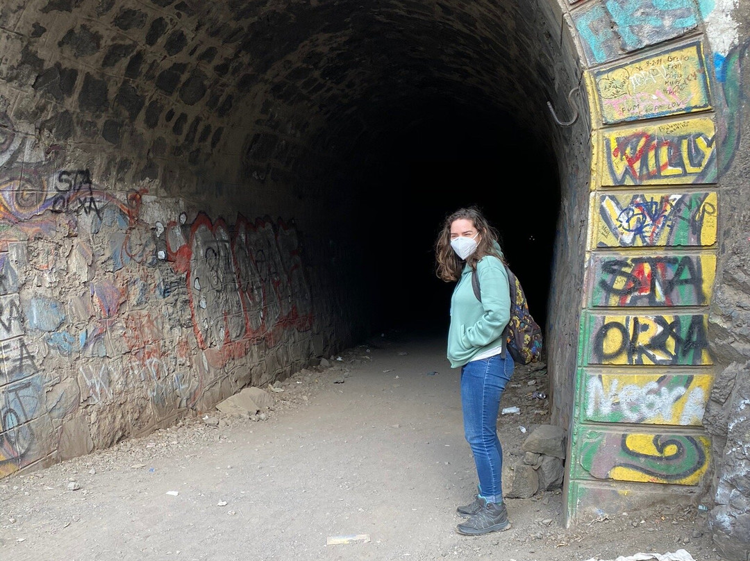 Túnel Ferroviario del Tinoco景点图片