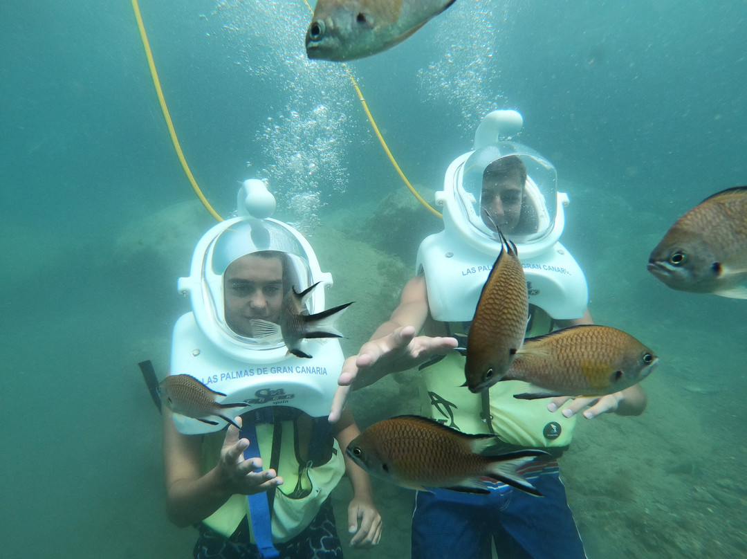Sea Trek Spain-莫干山必去景点