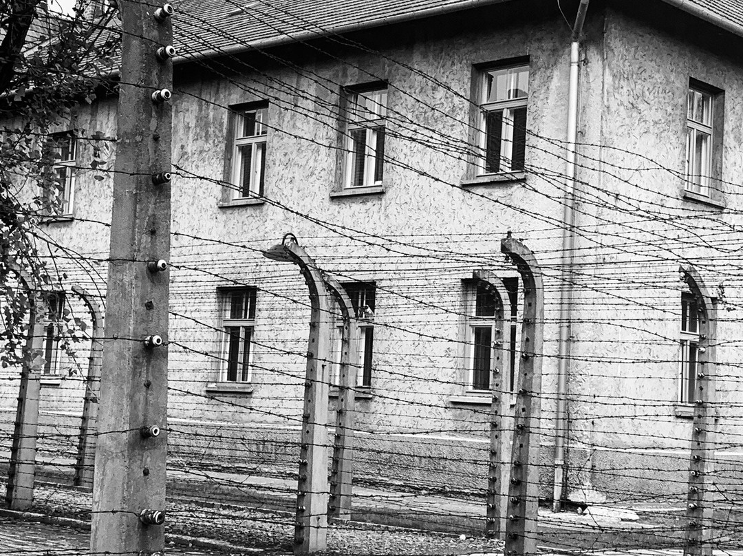 Auschwitz Tour - Krakow Discovery-克拉科夫必去景点