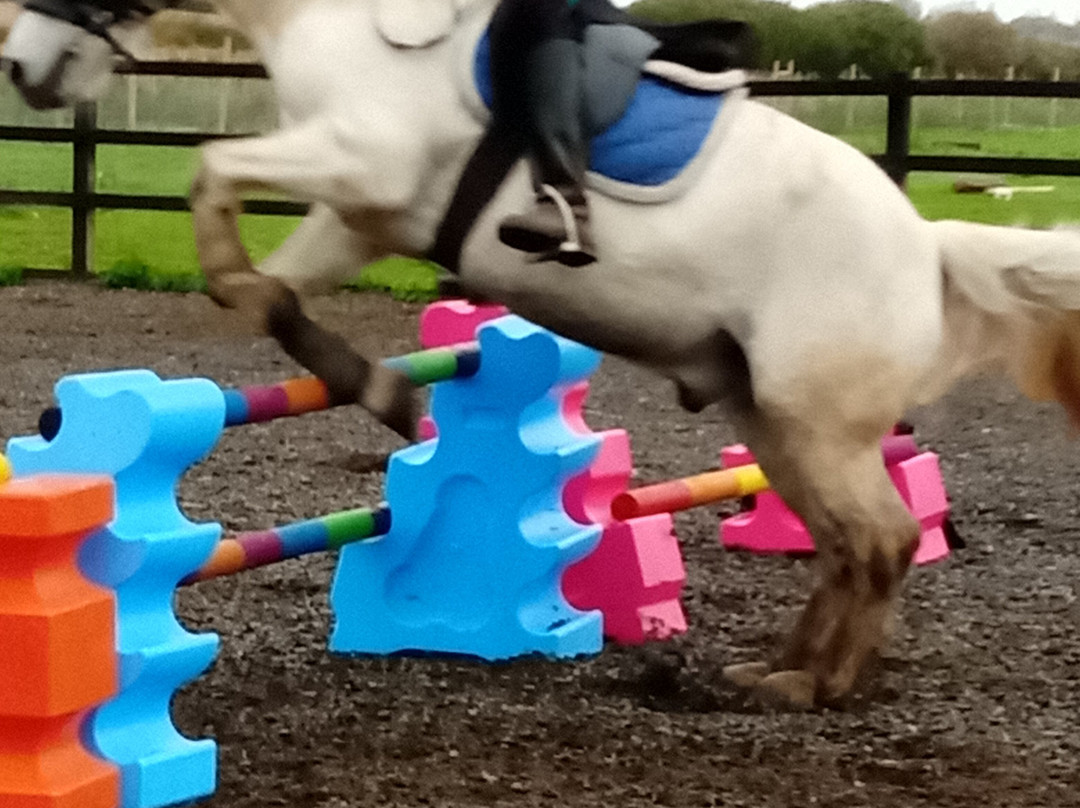 Montys Equestrian Centre景点图片