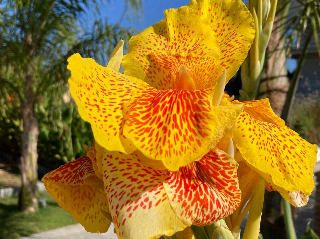 Ionion Beach Hotel & Apartments主图