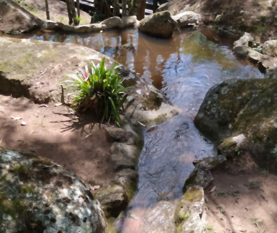 Parque Municipal da Pedra Montada景点图片