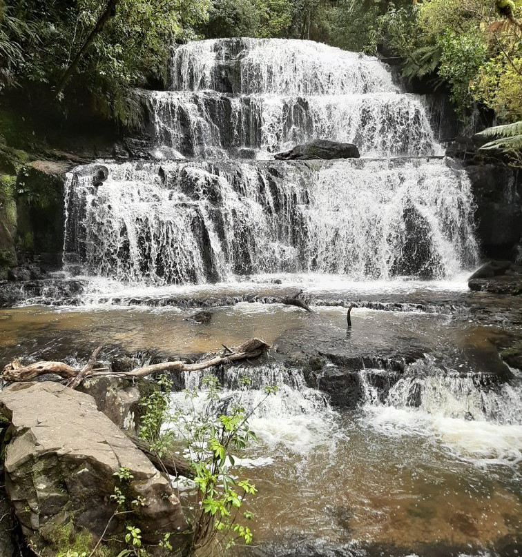 Purakaunui Falls Walk景点图片