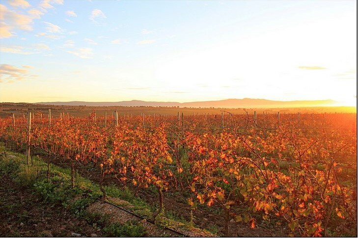 Strandveld Vineyards-Elim必去景点