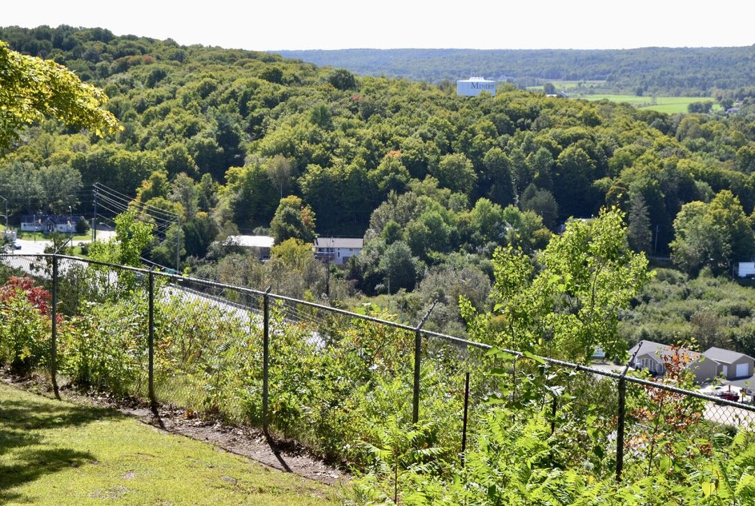 Panorama Park Lookout景点图片