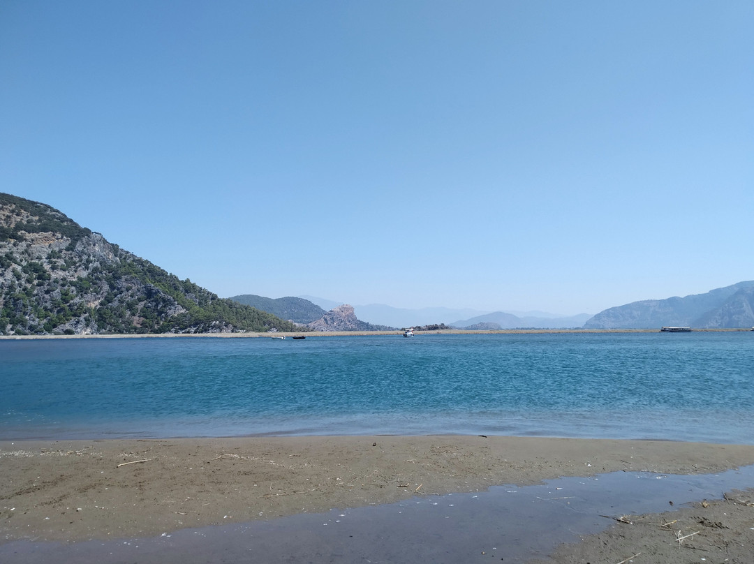 Dalyan Special Environmental Protection Area景点图片