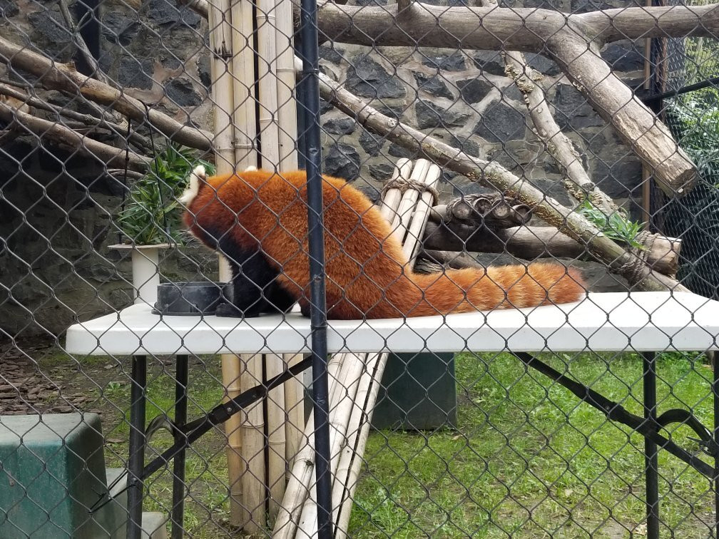 Brandywine Zoo-威尔明顿必去景点