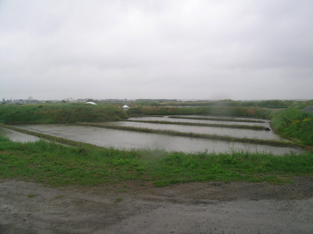 Marais Salants de Guerande景点图片