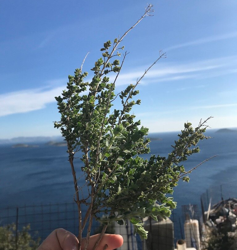 Kimisi Beach景点图片