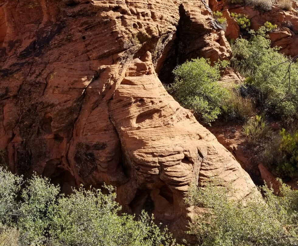 Snow Canyon State Park-犹他州必去景点