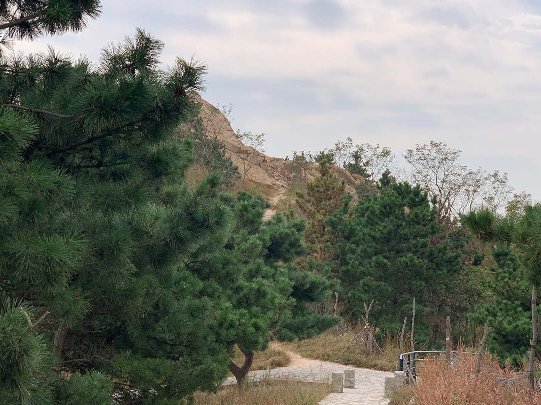 青岛浮山公园-青岛市必去景点