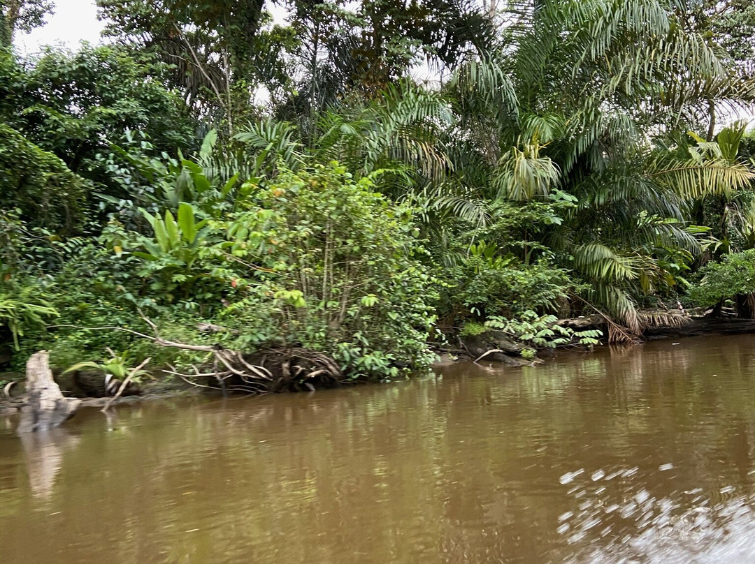 Tortuguero Adventures GuestHouse主图