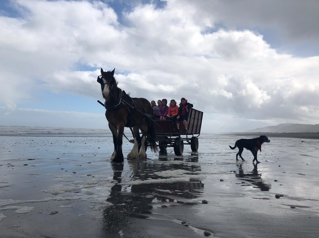 Golden Sands Horse and Wagon Tours景点图片