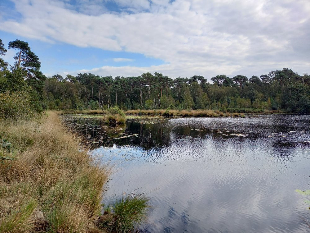 Oisterwijkse Bossen en Vennen-Oisterwijk必去景点