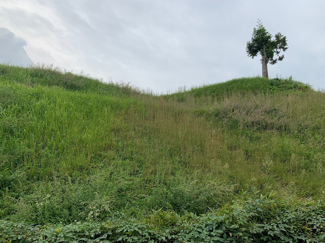 Mozume Kurumazuka Tumulus Park-向日市必去景点
