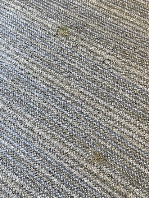 Country Inn & Suites by Radisson, Greenville, NC主图