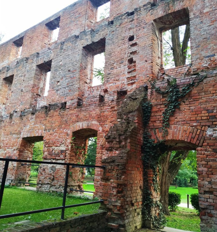 Zespół Pałacowo-Parkowy景点图片