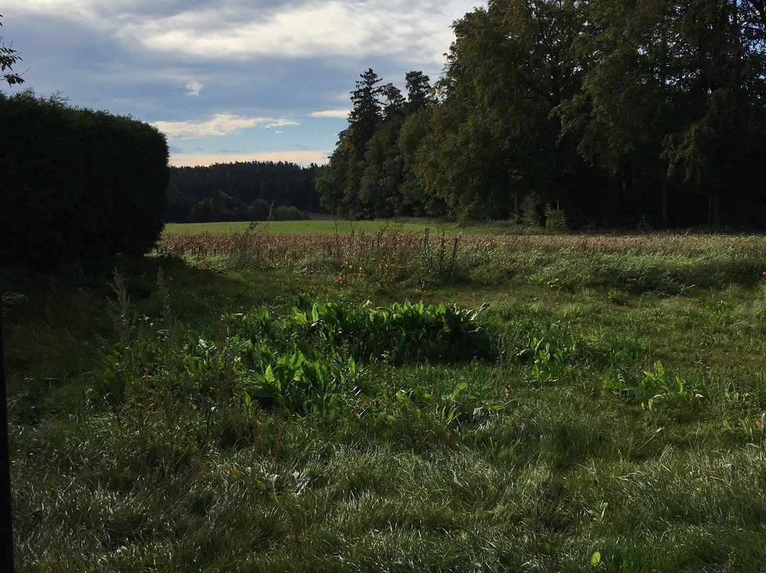 Naturhotel Wittelsbach主图