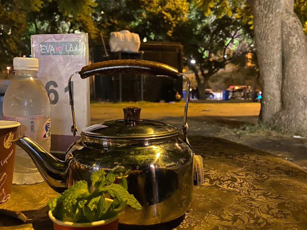 Abha Dam Lake-Abha必去景点