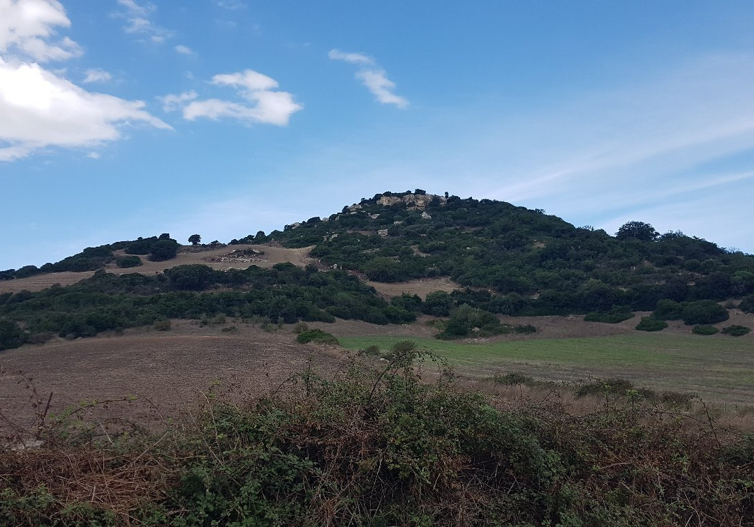 Pilchina di li Caaddaggi-Sedini必去景点