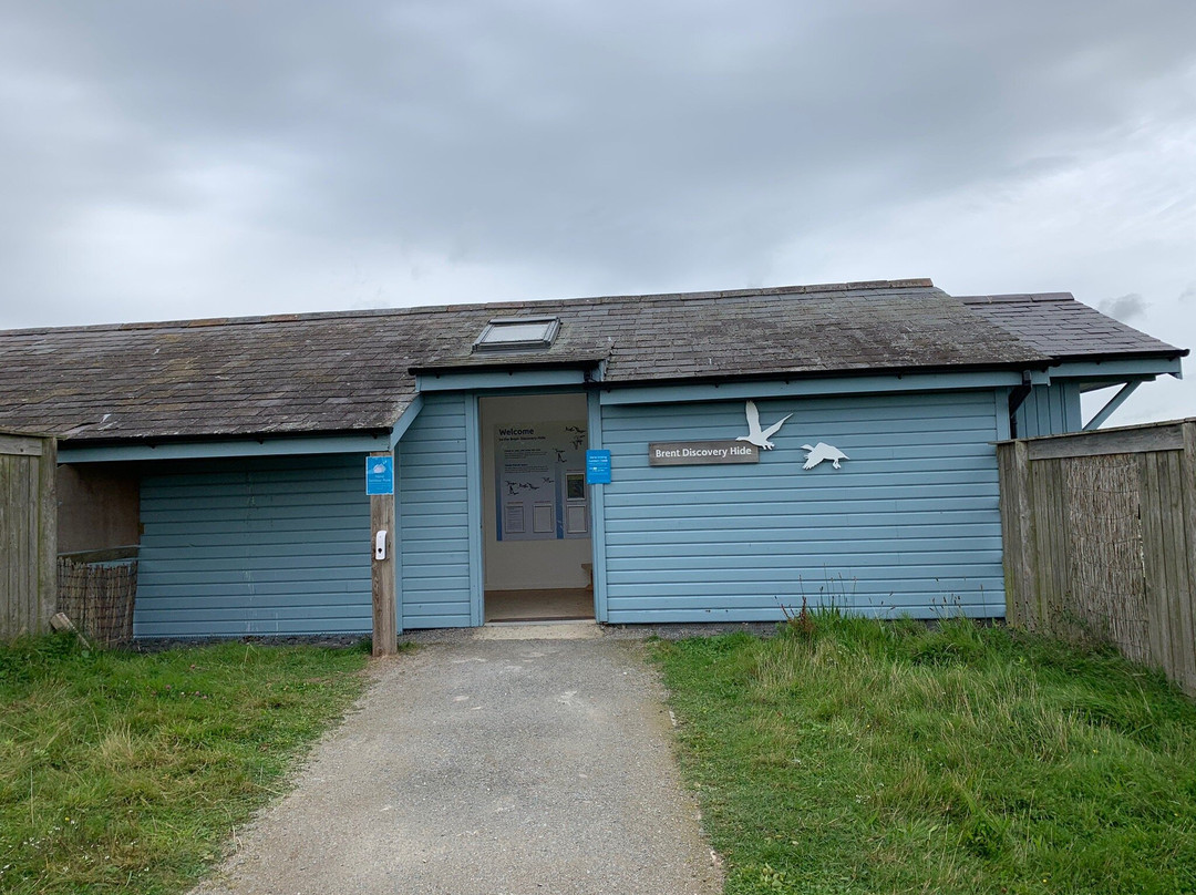 WWT Castle Espie Wetland Centre景点图片
