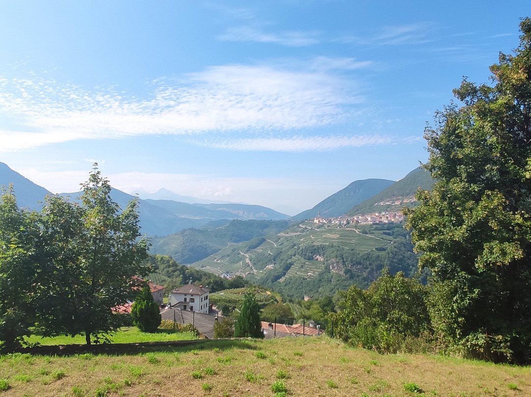 Val di Cembra景点图片