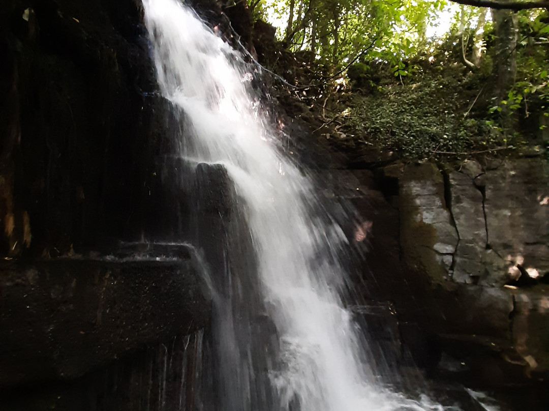 Harmby Waterfall-莱伯恩必去景点